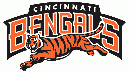 Cincinnati Bengals 1997-2003 Wordmark Logo DIY iron on transfer (heat transfer)
